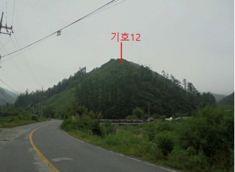 2025타경5339 충청북도 제천시 송학면 오미리 256-2 임야 경매 이미지