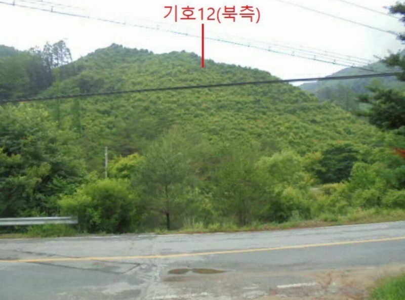 2025타경5339 충청북도 제천시 송학면 오미리 256-2 임야 경매 이미지