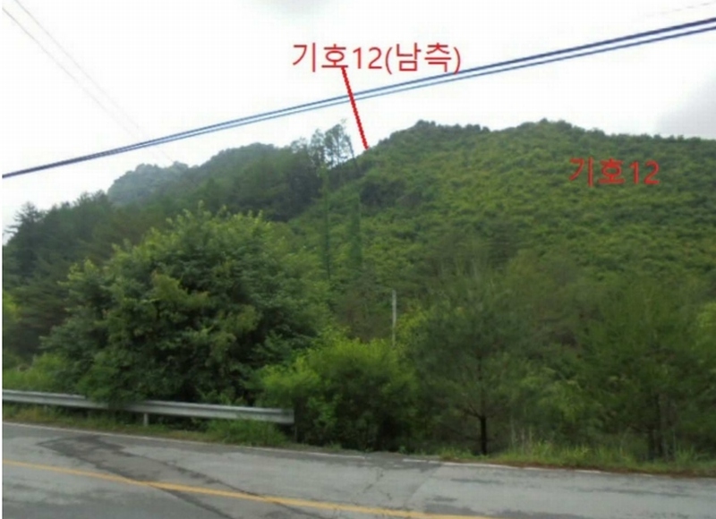 2025타경5339 충청북도 제천시 송학면 오미리 256-2 임야 경매 이미지