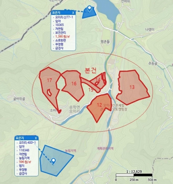 2025타경5339 충청북도 제천시 송학면 오미리 256-2 임야 경매 이미지