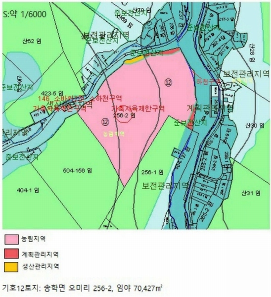 2025타경5339 충청북도 제천시 송학면 오미리 256-2 임야 경매 이미지