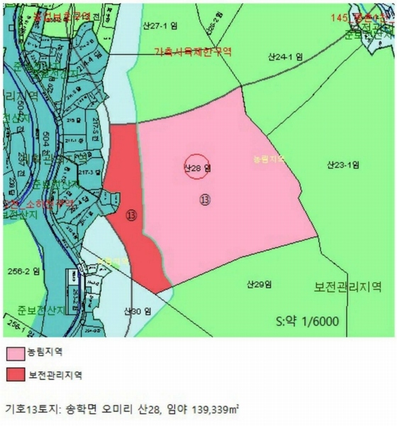 2025타경5339 충청북도 제천시 송학면 오미리 256-2 임야 경매 이미지