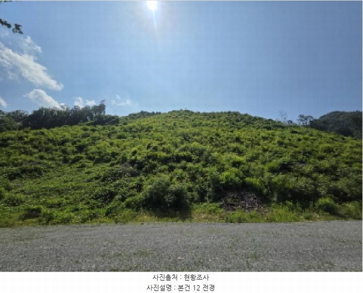 2025타경5339 충청북도 제천시 송학면 오미리 256-2 임야 경매 이미지