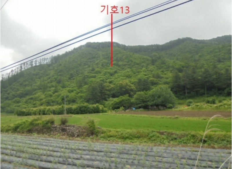 2025타경5339 충청북도 제천시 송학면 오미리 256-2 임야 경매 이미지