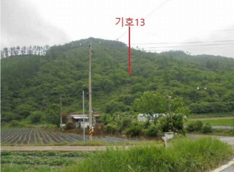 2025타경5339 충청북도 제천시 송학면 오미리 256-2 임야 경매 이미지