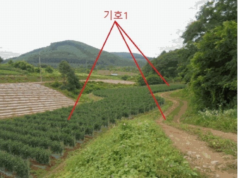 2025타경5341 충청북도 단양군 어상천면 석교리 468-1 농지 경매 이미지