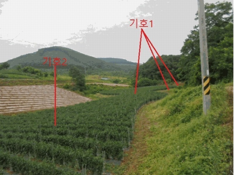 2025타경5341 충청북도 단양군 어상천면 석교리 468-1 농지 경매 이미지