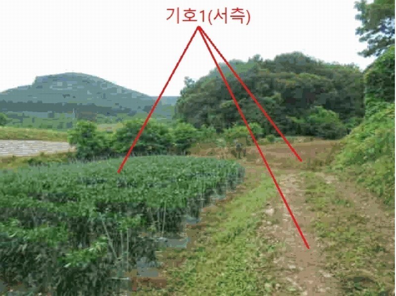 2025타경5341 충청북도 단양군 어상천면 석교리 468-1 농지 경매 이미지
