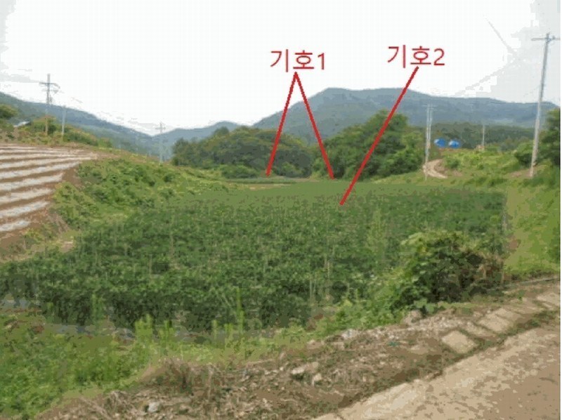 2025타경5341 충청북도 단양군 어상천면 석교리 468-1 농지 경매 이미지