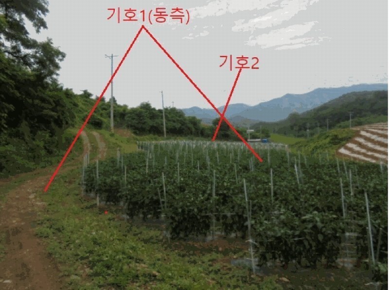 2025타경5341 충청북도 단양군 어상천면 석교리 468-1 농지 경매 이미지