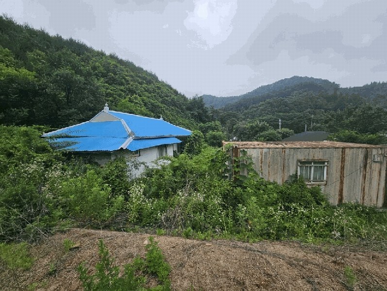 2025타경5343 충청북도 제천시 금성면 활산리 180 대지 경매 이미지