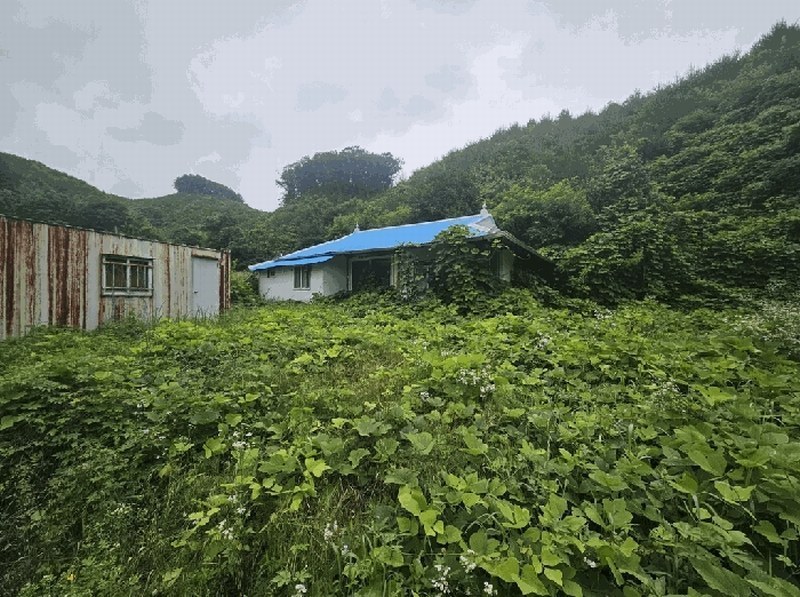 2025타경5343 충청북도 제천시 금성면 활산리 180 대지 경매 이미지