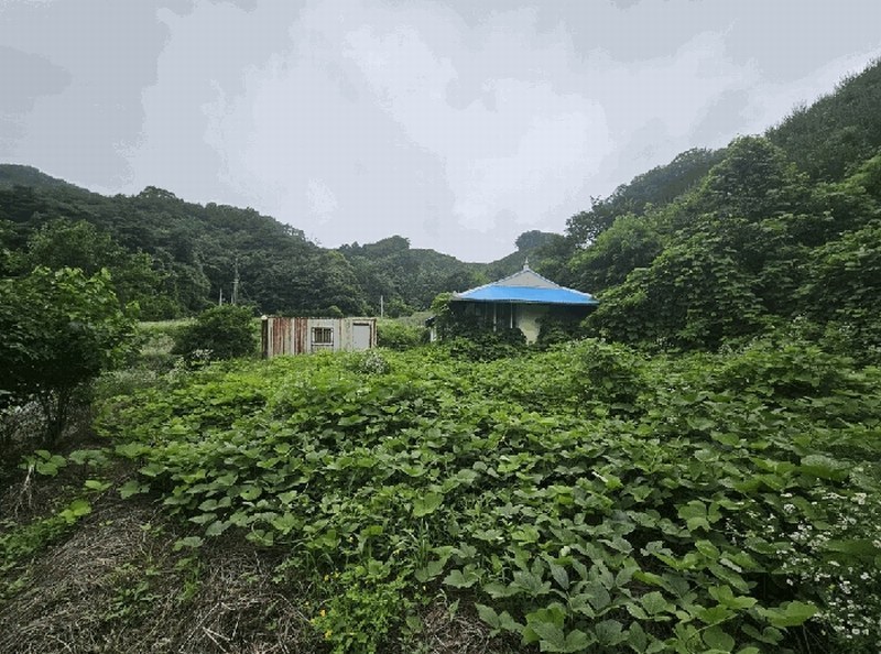 2025타경5343 충청북도 제천시 금성면 활산리 180 대지 경매 이미지