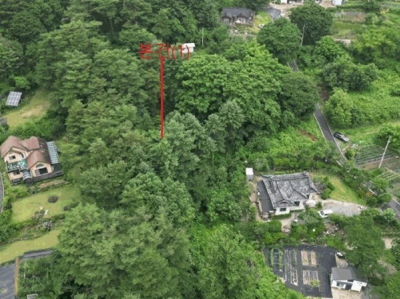 2025타경5369 충청북도 제천시 봉양읍 옥전리 437 농지 경매 이미지
