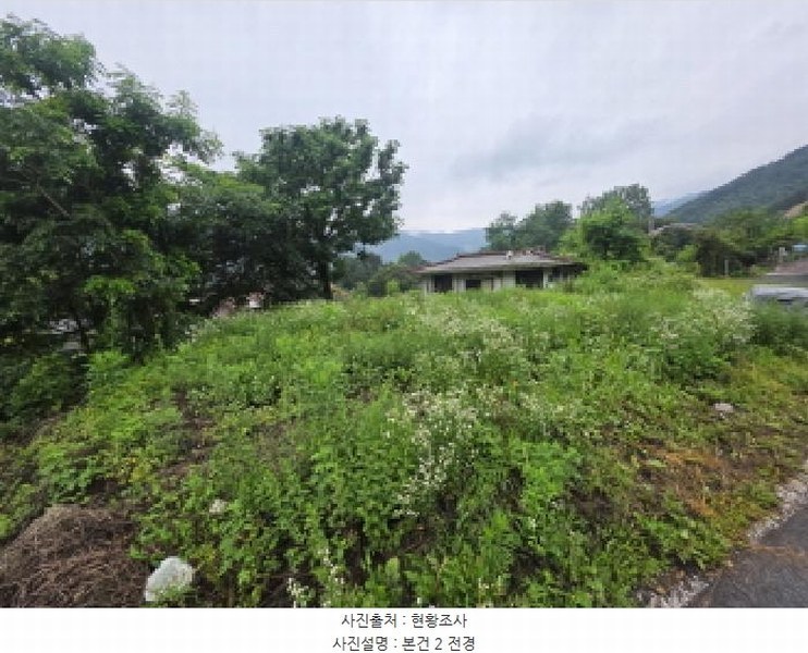 2025타경5369 충청북도 제천시 봉양읍 옥전리 437 농지 경매 이미지
