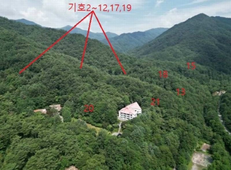 2025타경5371 충청북도 제천시 백운면 덕동리 산13-4 임야 경매 이미지
