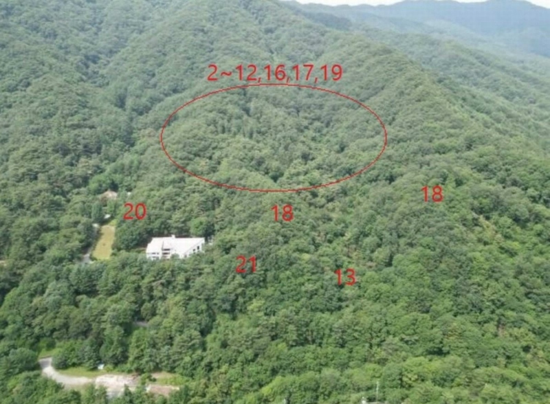 2025타경5371 충청북도 제천시 백운면 덕동리 산13-4 임야 경매 이미지