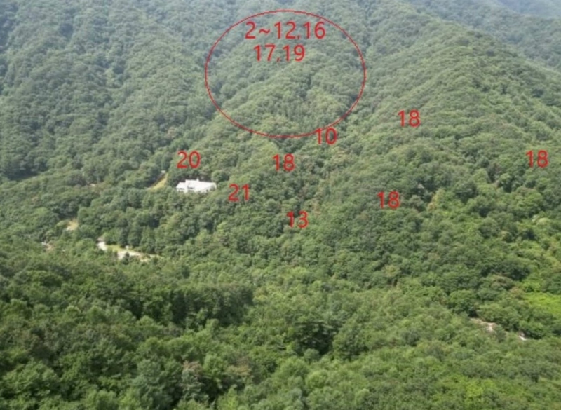 2025타경5371 충청북도 제천시 백운면 덕동리 산13-4 임야 경매 이미지