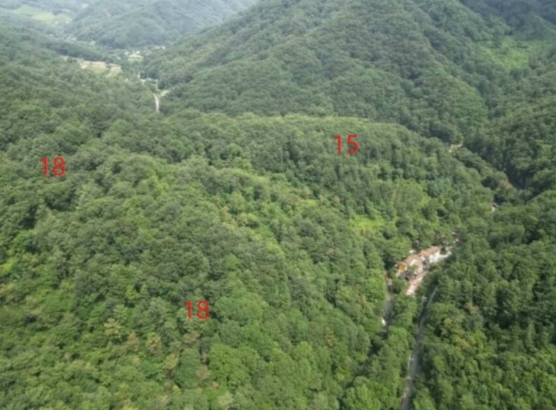2025타경5371 충청북도 제천시 백운면 덕동리 산13-4 임야 경매 이미지