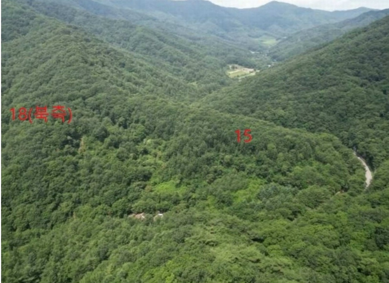 2025타경5371 충청북도 제천시 백운면 덕동리 산13-4 임야 경매 이미지