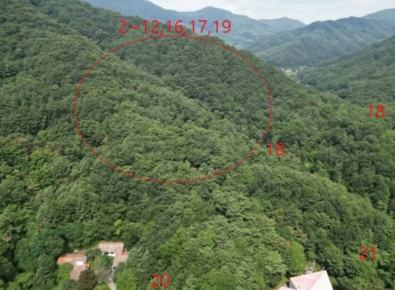 2025타경5371 충청북도 제천시 백운면 덕동리 산13-4 임야 경매 이미지