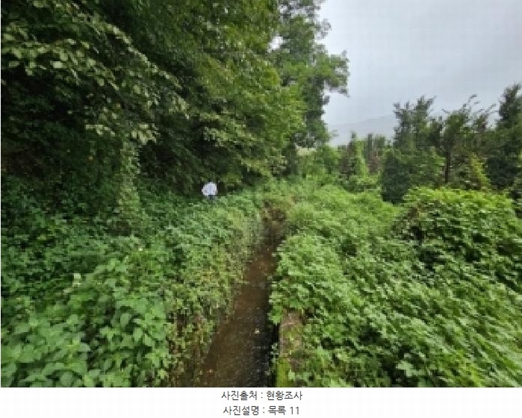 2025타경5373 충청북도 제천시 신월동 736-20 임야 경매 이미지