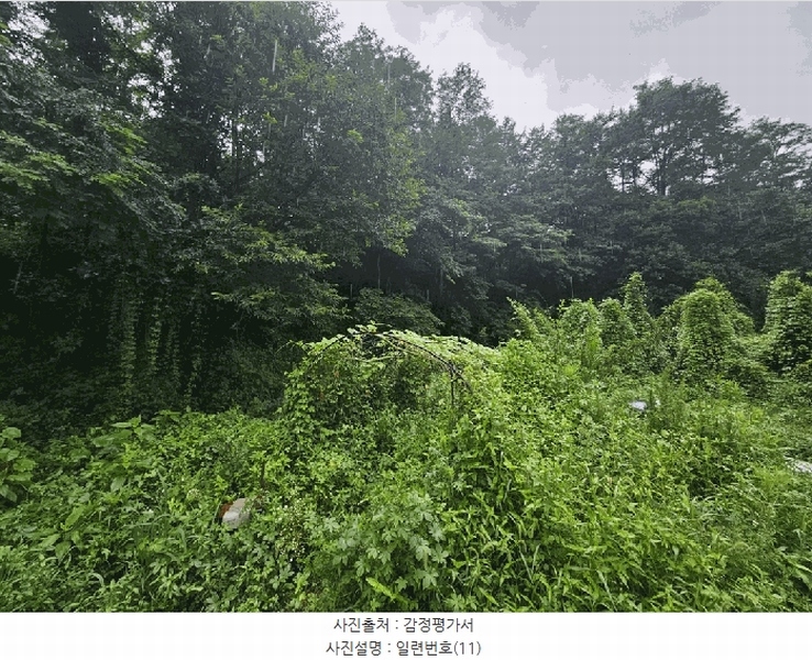 2025타경5373 충청북도 제천시 신월동 736-20 임야 경매 이미지