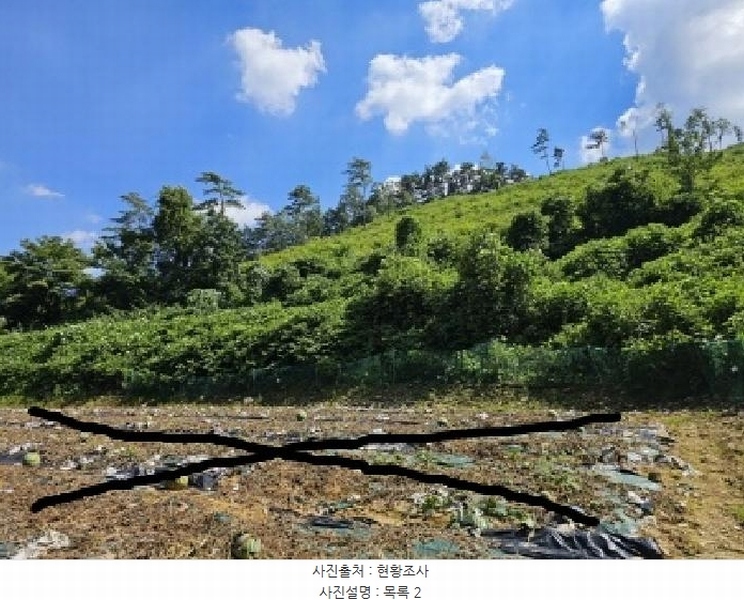 2025타경5375 충청북도 단양군 어상천면 연곡리 405 임야 경매 이미지