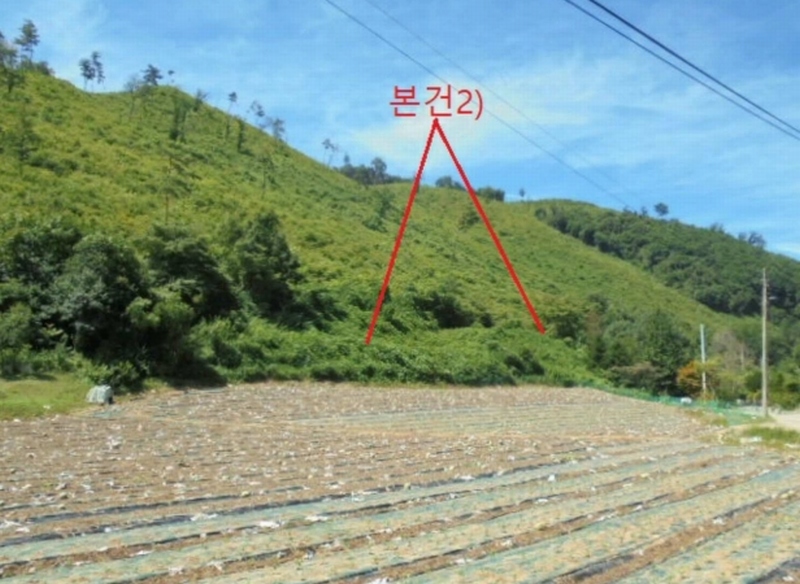 2025타경5375 충청북도 단양군 어상천면 연곡리 405 임야 경매 이미지