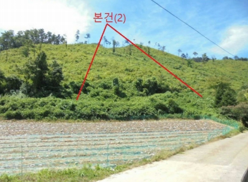 2025타경5375 충청북도 단양군 어상천면 연곡리 405 임야 경매 이미지
