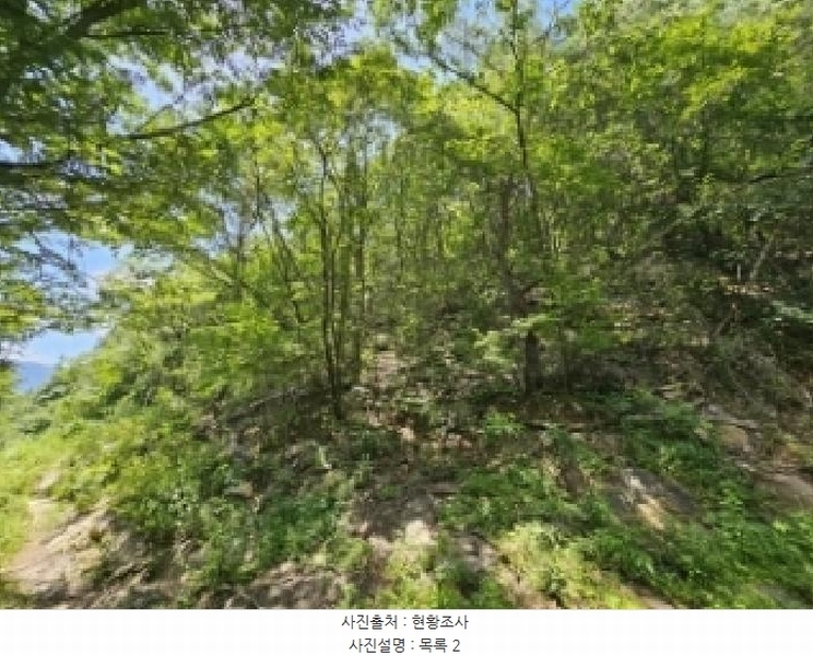 2025타경5375 충청북도 단양군 어상천면 연곡리 405 임야 경매 이미지