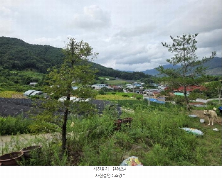 2025타경5381 충청북도 제천시 백운면 원월리 351 다가구(원룸등) 경매 이미지