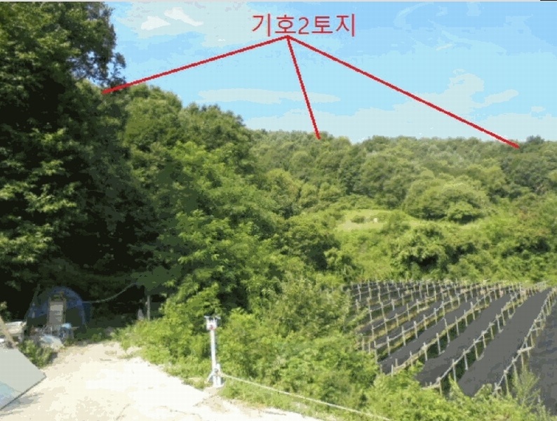 2025타경5381 충청북도 제천시 백운면 원월리 351 다가구(원룸등) 경매 이미지
