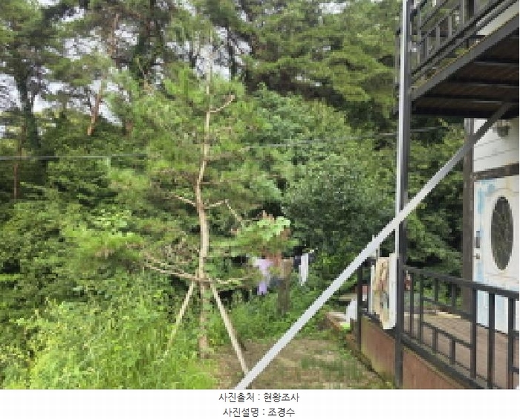 2025타경5381 충청북도 제천시 백운면 원월리 351 다가구(원룸등) 경매 이미지