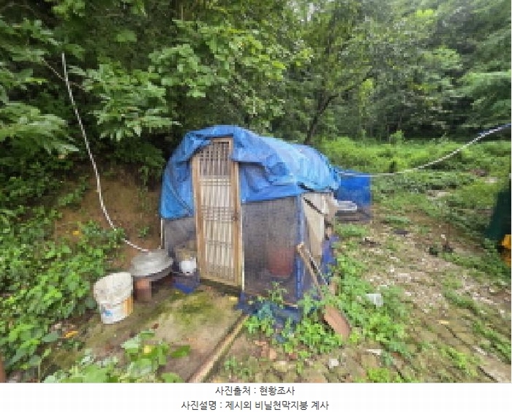 2025타경5381 충청북도 제천시 백운면 원월리 351 다가구(원룸등) 경매 이미지