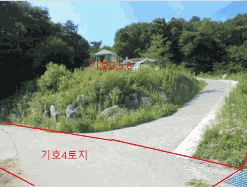 2025타경5381 충청북도 제천시 백운면 원월리 351 다가구(원룸등) 경매 이미지
