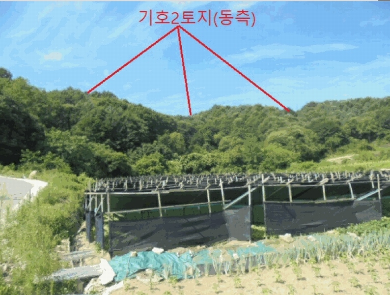 2025타경5381 충청북도 제천시 백운면 원월리 351 다가구(원룸등) 경매 이미지