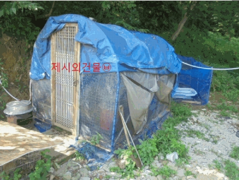 2025타경5381 충청북도 제천시 백운면 원월리 351 다가구(원룸등) 경매 이미지