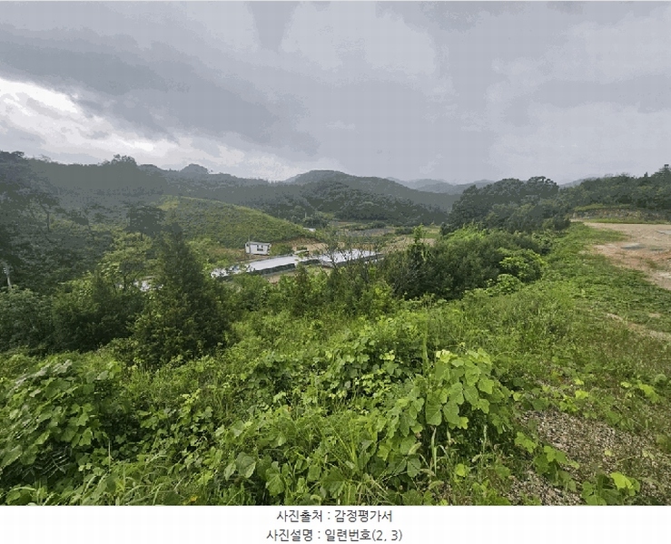 2025타경5385 충청북도 제천시 청풍면 단리 산31-12 임야 경매 이미지