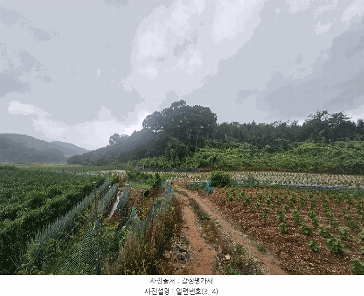 2025타경5385 충청북도 제천시 청풍면 단리 산31-12 임야 경매 이미지