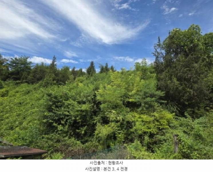 2025타경5385 충청북도 제천시 청풍면 단리 산31-12 임야 경매 이미지