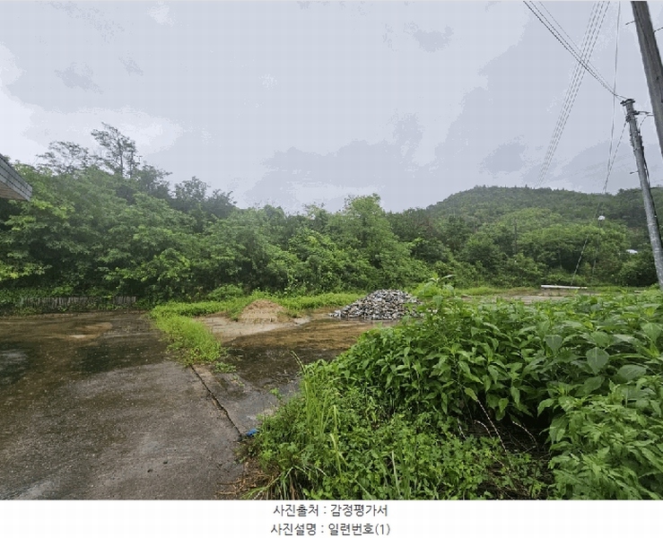 2025타경5385 충청북도 제천시 청풍면 단리 산31-12 임야 경매 이미지