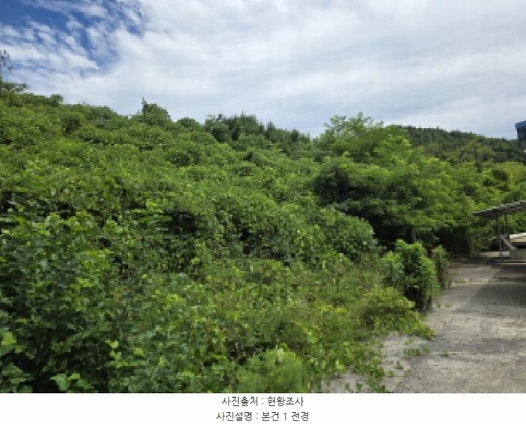 2025타경5385 충청북도 제천시 청풍면 단리 산31-12 임야 경매 이미지