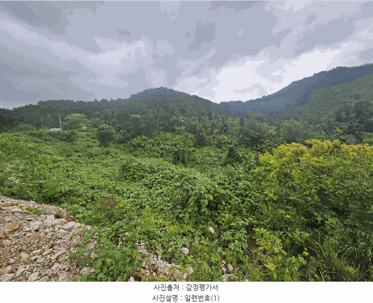 2025타경5385 충청북도 제천시 청풍면 단리 산31-12 임야 경매 이미지