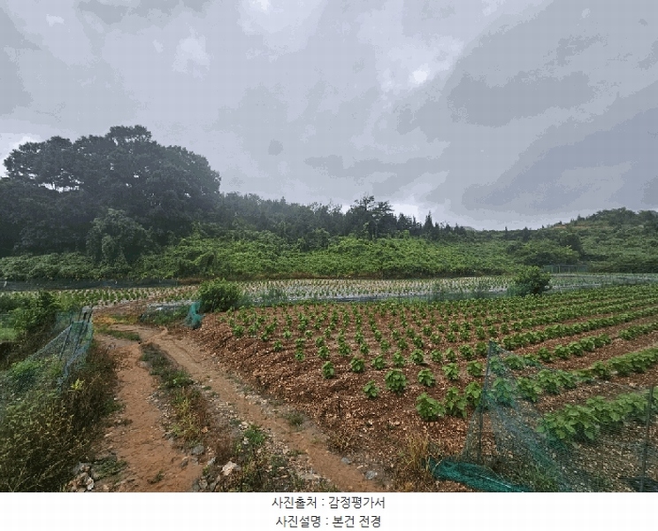 2025타경5385 충청북도 제천시 청풍면 단리 산31-12 임야 경매 이미지