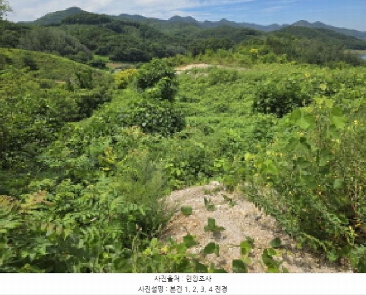 2025타경5385 충청북도 제천시 청풍면 단리 산31-12 임야 경매 이미지