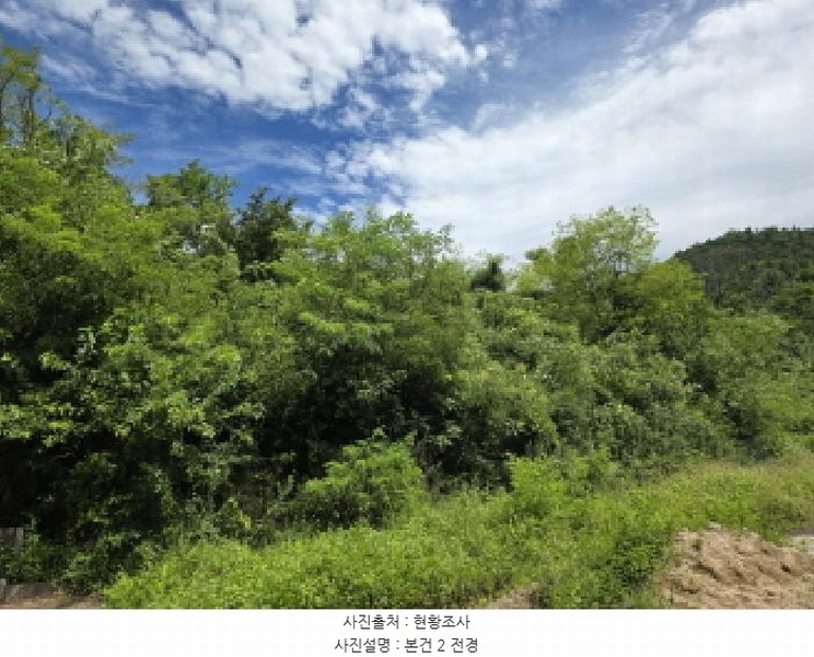 2025타경5385 충청북도 제천시 청풍면 단리 산31-12 임야 경매 이미지