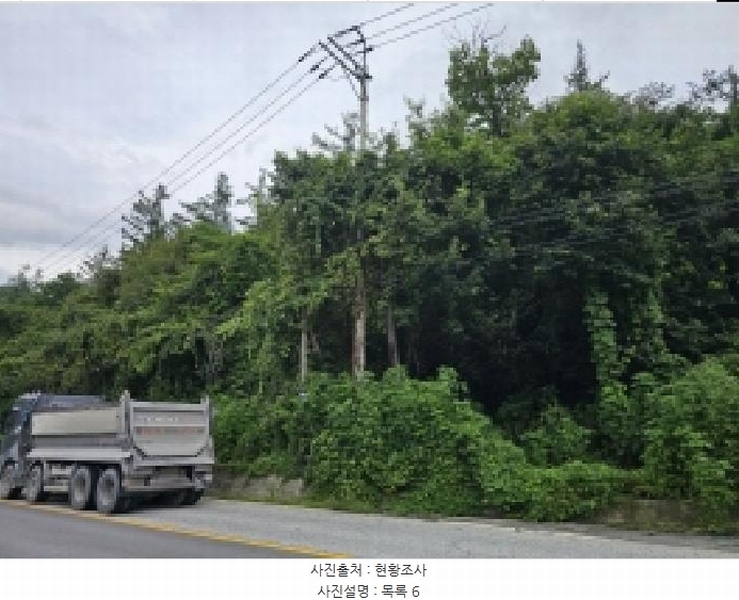 2025타경5387 충청북도 제천시 자작동 산18-1 임야 경매 이미지