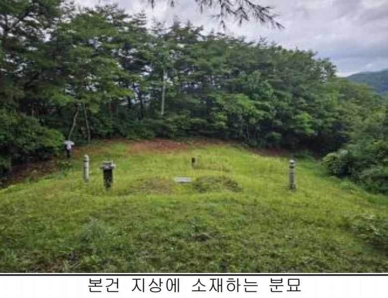 2025타경5387 충청북도 제천시 자작동 산18-1 임야 경매 이미지