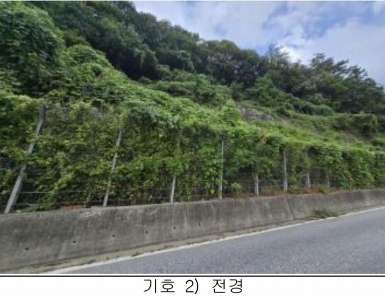 2025타경5387 충청북도 제천시 자작동 산18-1 임야 경매 이미지